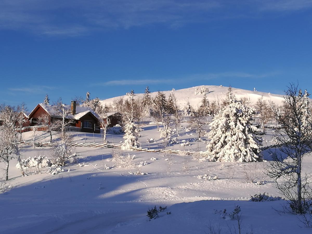 Gamlestolen Fjellstue * Etnedal
