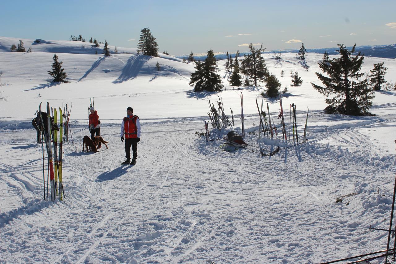 Gamlestolen Fjellstue * Etnedal