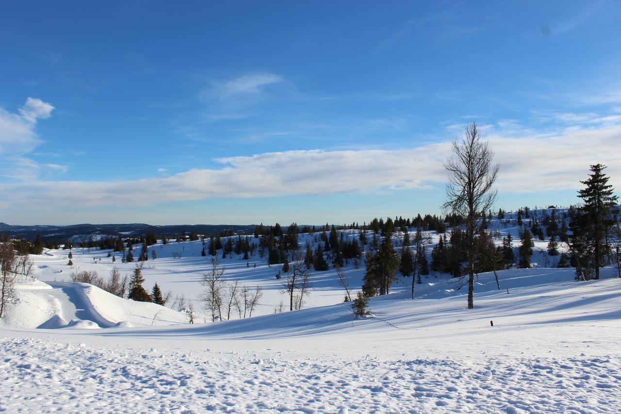 Lodge Gamlestolen Fjellstue *